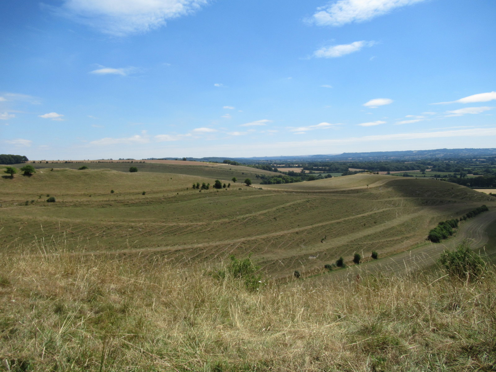 IMG_8211.JPG