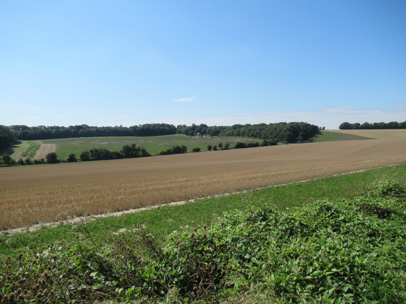 IMG_8344.JPG