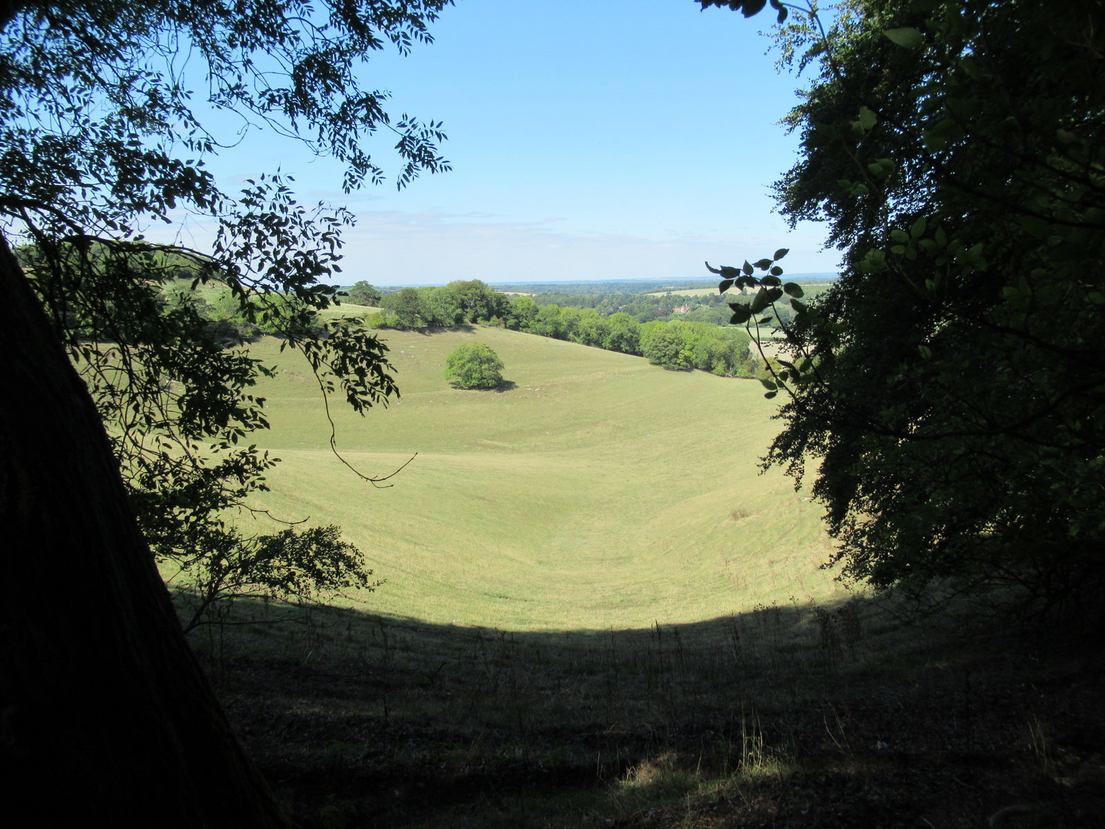 IMG_8347.JPG