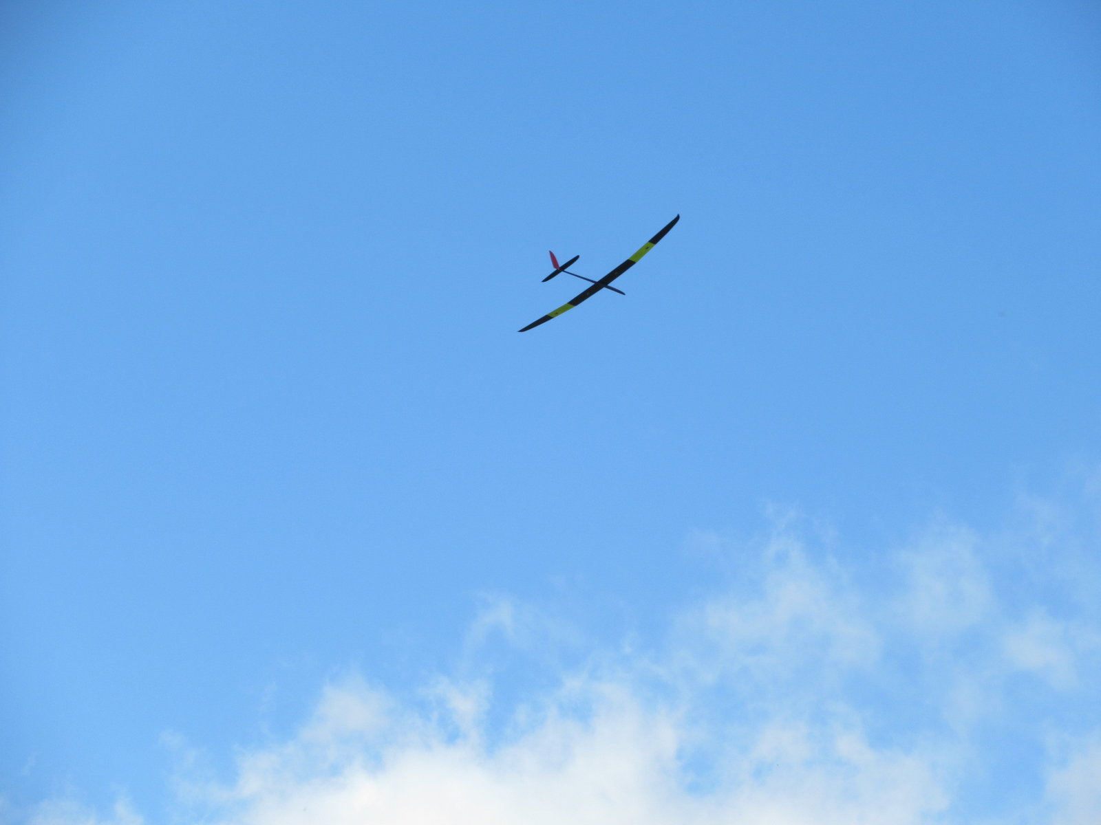 IMG_8461.JPG