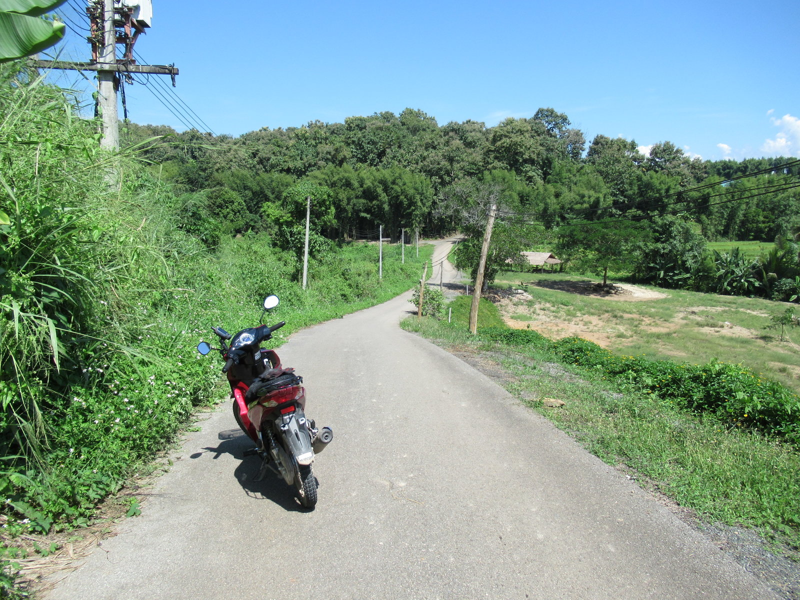 IMG_8814.JPG