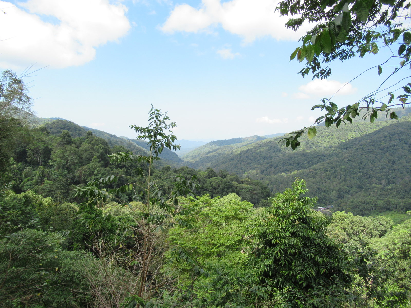 IMG_8940.JPG