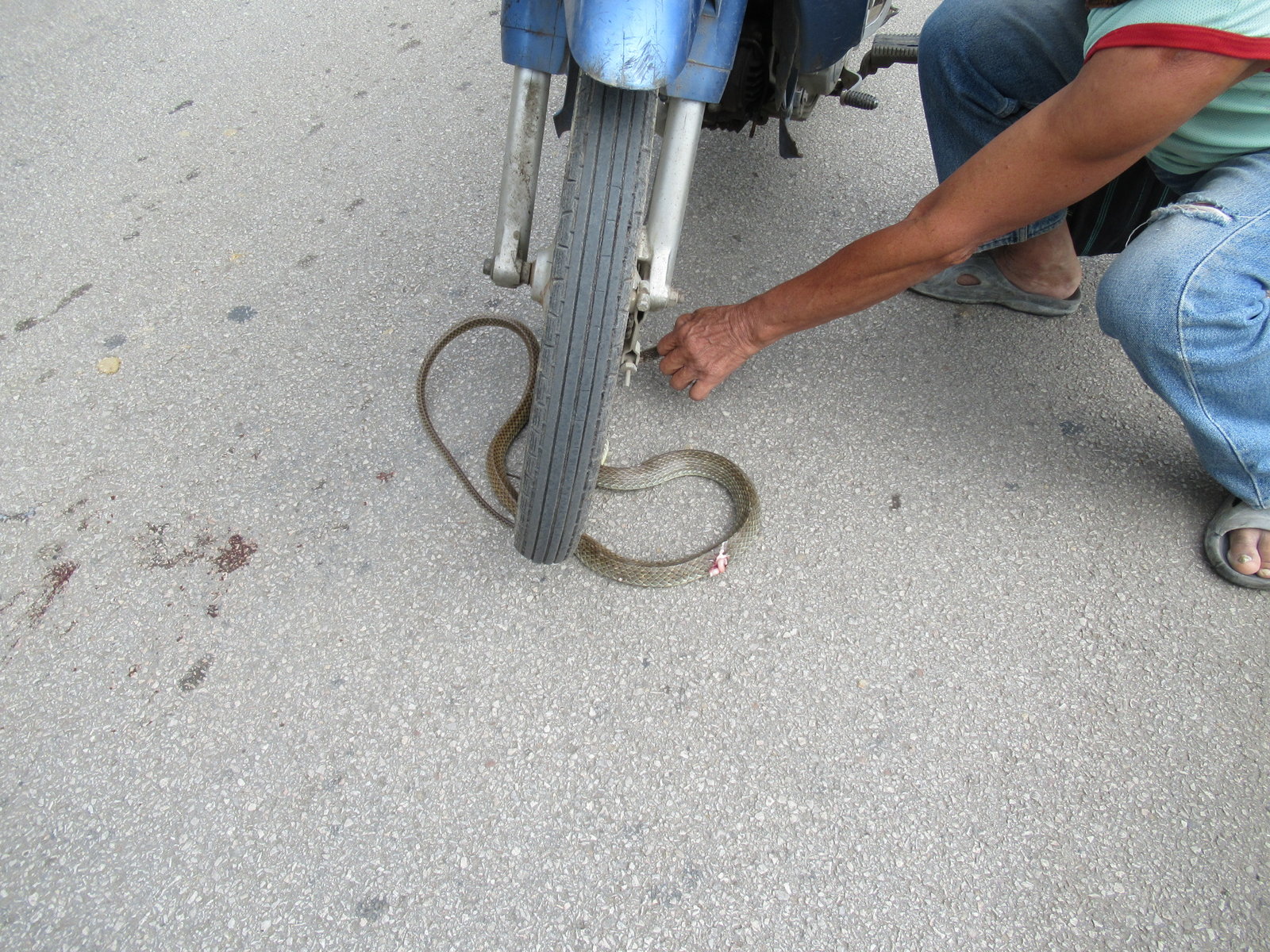 IMG_9347.JPG