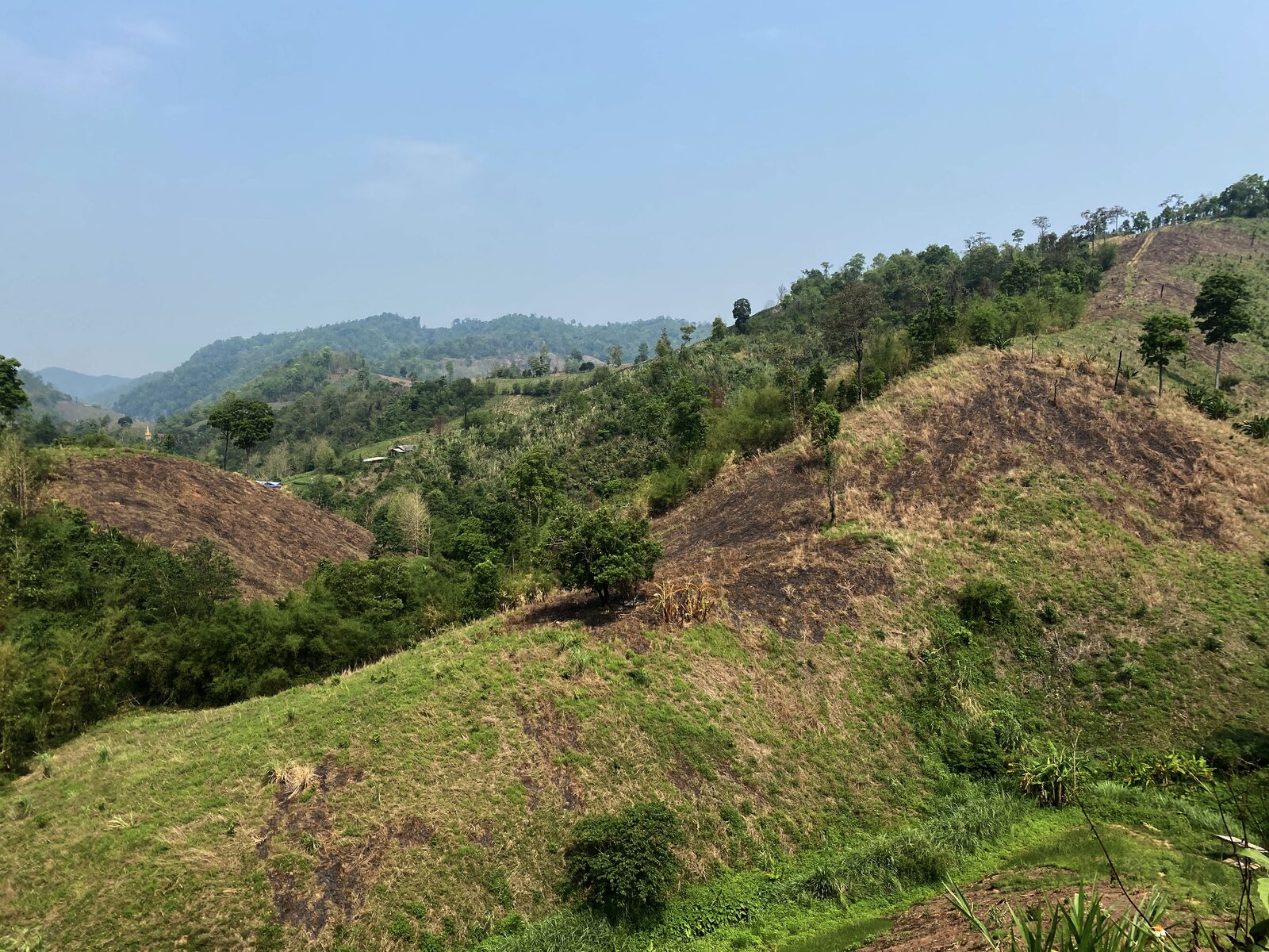 more_hills.jpg