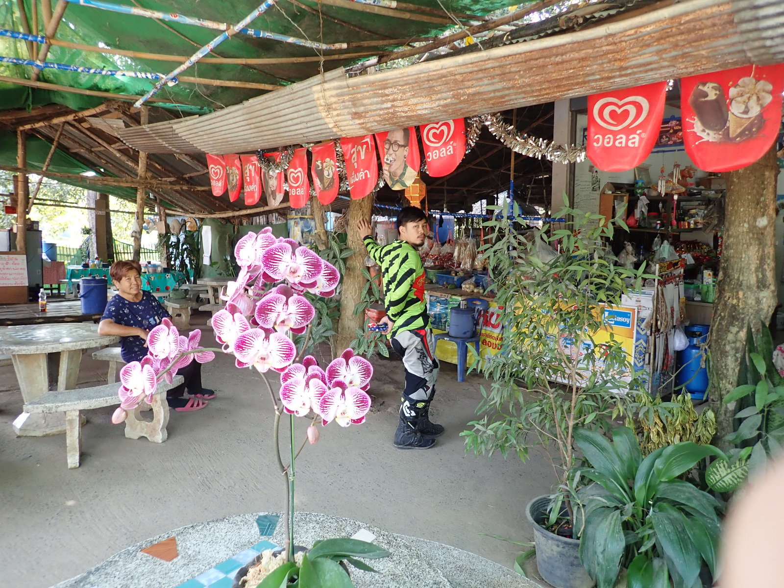 p2170482-jpg.72947