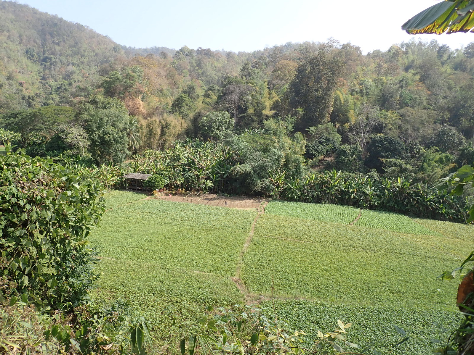p2170506-jpg.72971