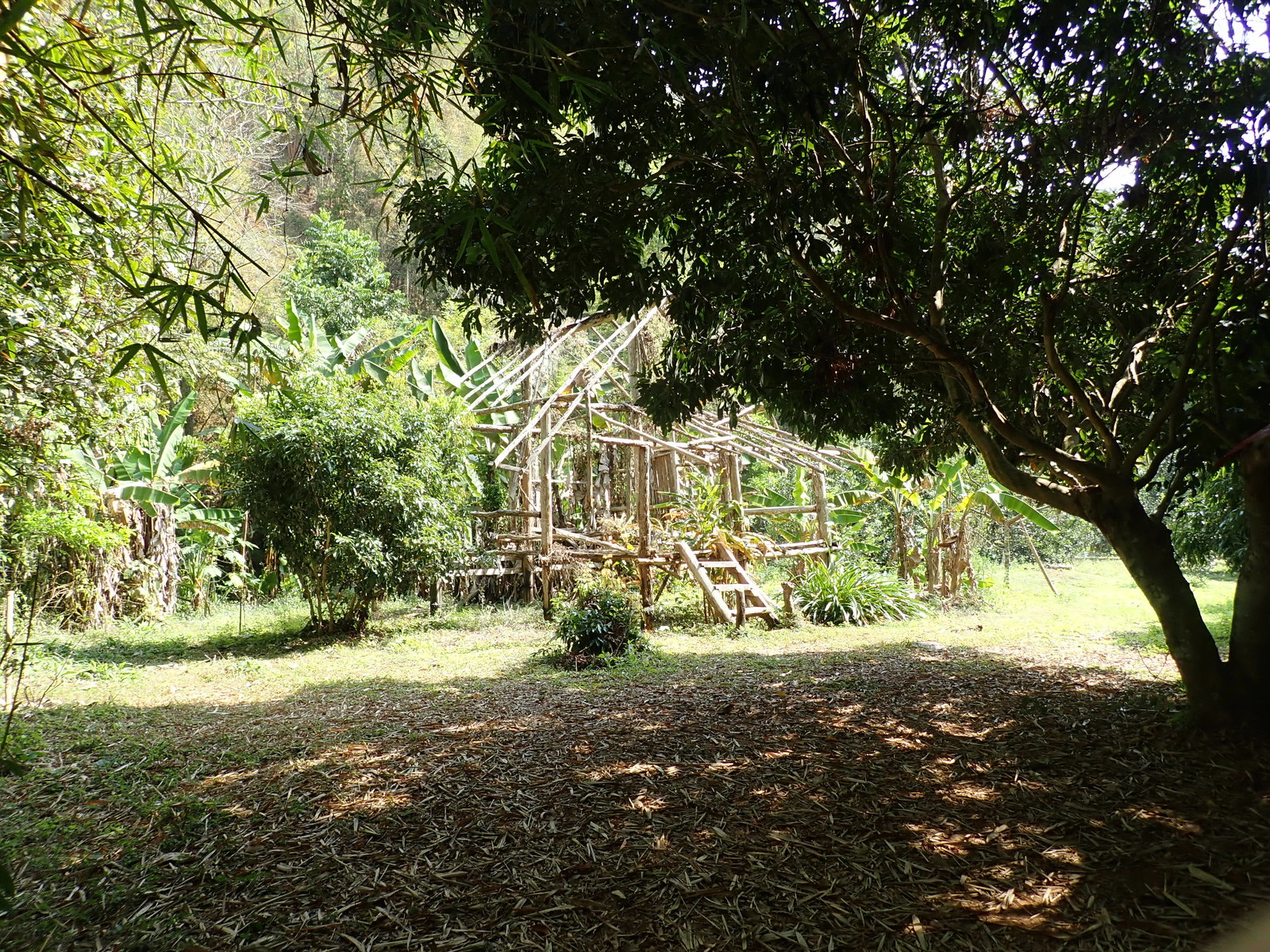 p2170513-jpg.72978