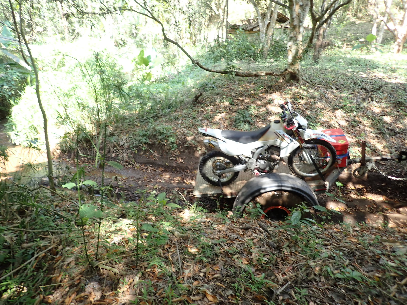 p2170532-jpg.72997