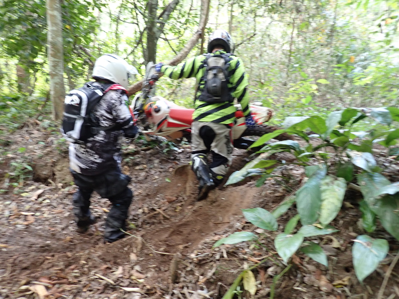 P2170563.JPG