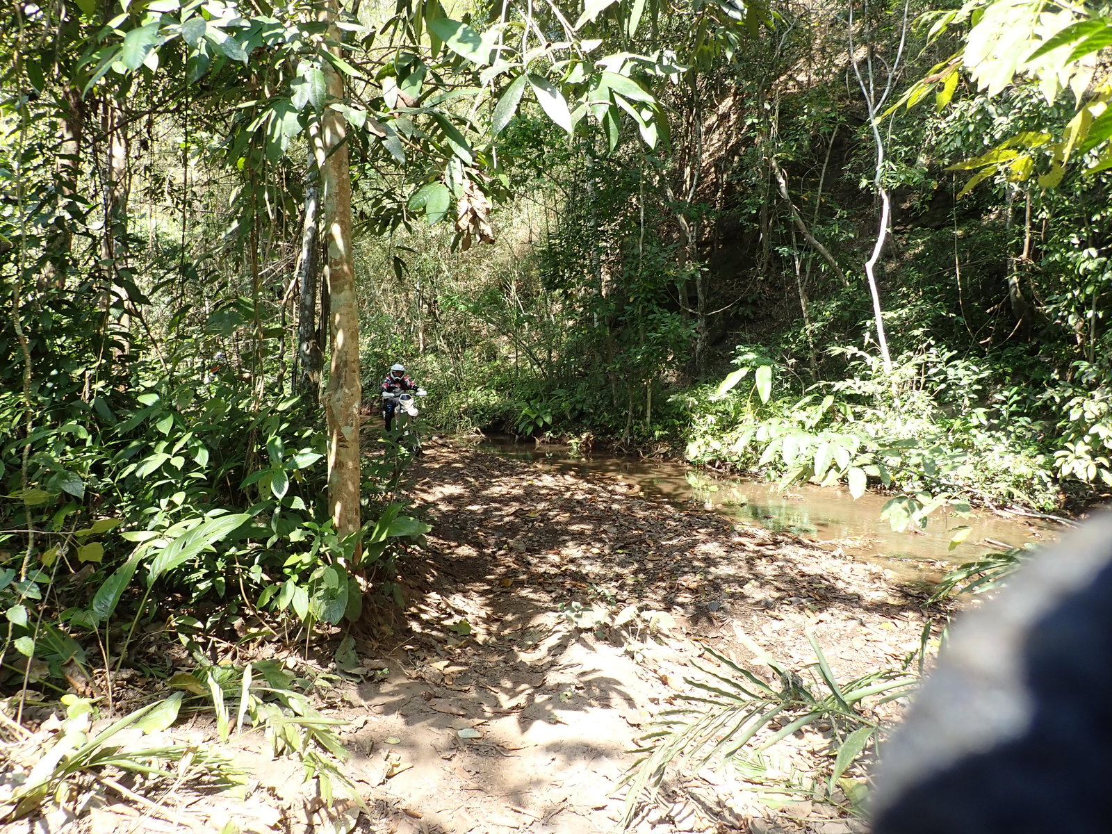 p2170566-jpg.73118
