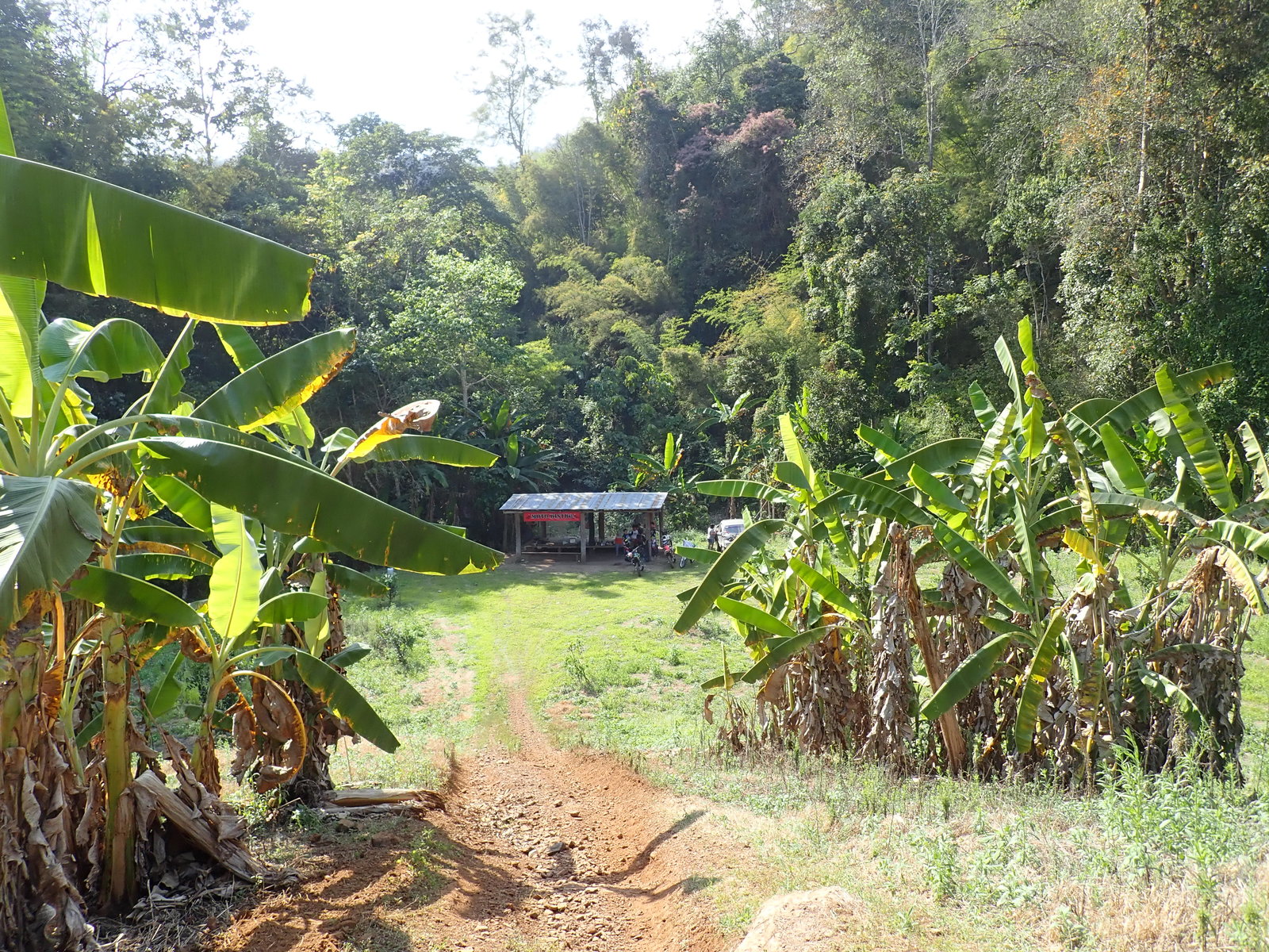 p2170607-jpg.73159