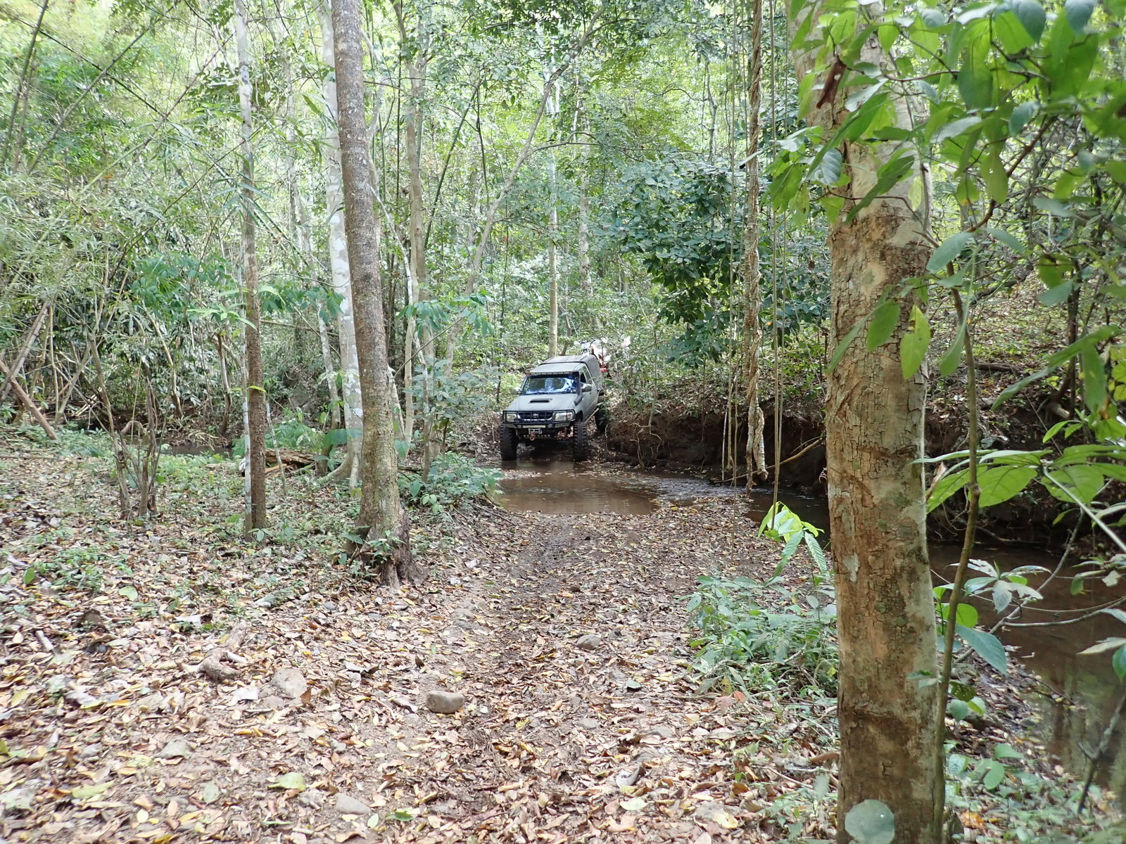 p2170613-jpg.73165