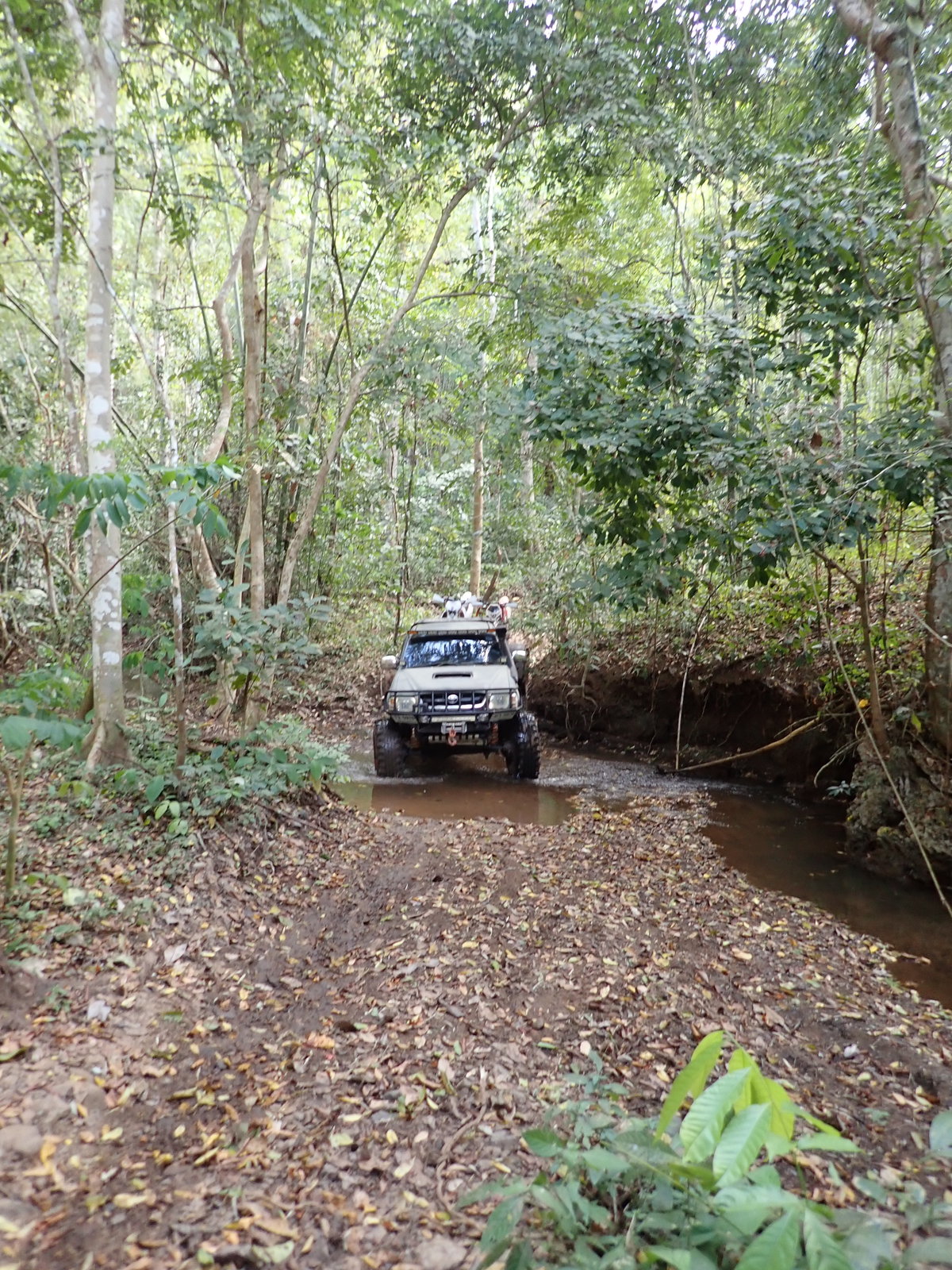 p2170614-jpg.73166