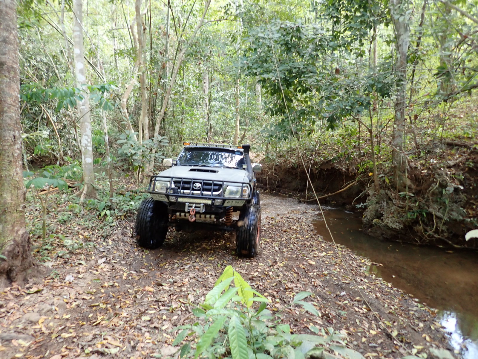 p2170615-jpg.73167