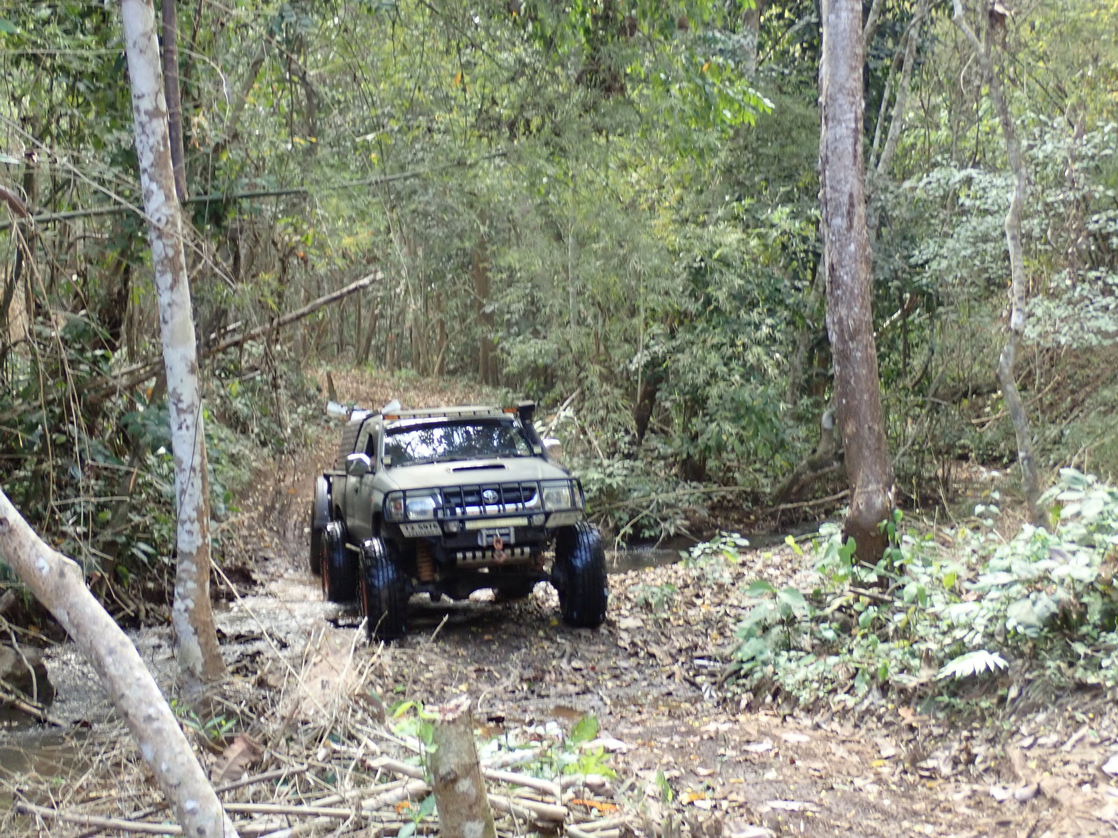p2170617-jpg.73169