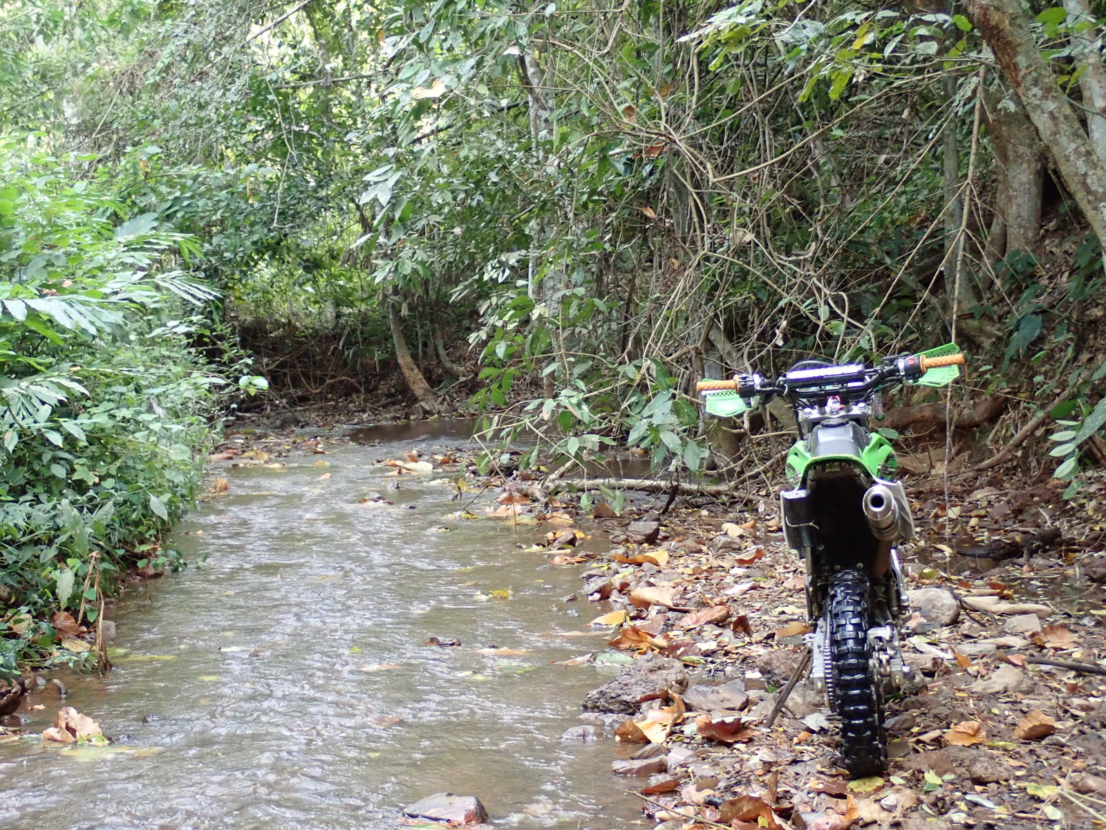 p2170635-jpg.73187