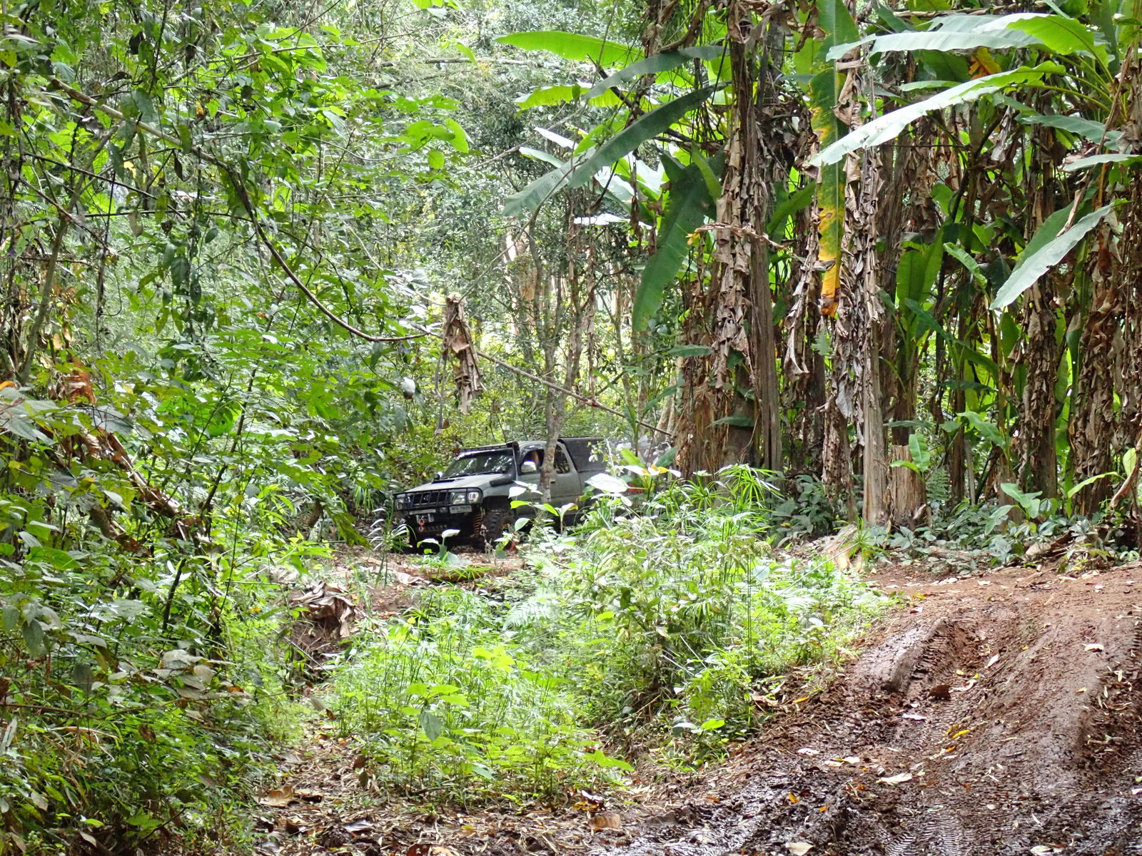 p2170636-jpg.73188