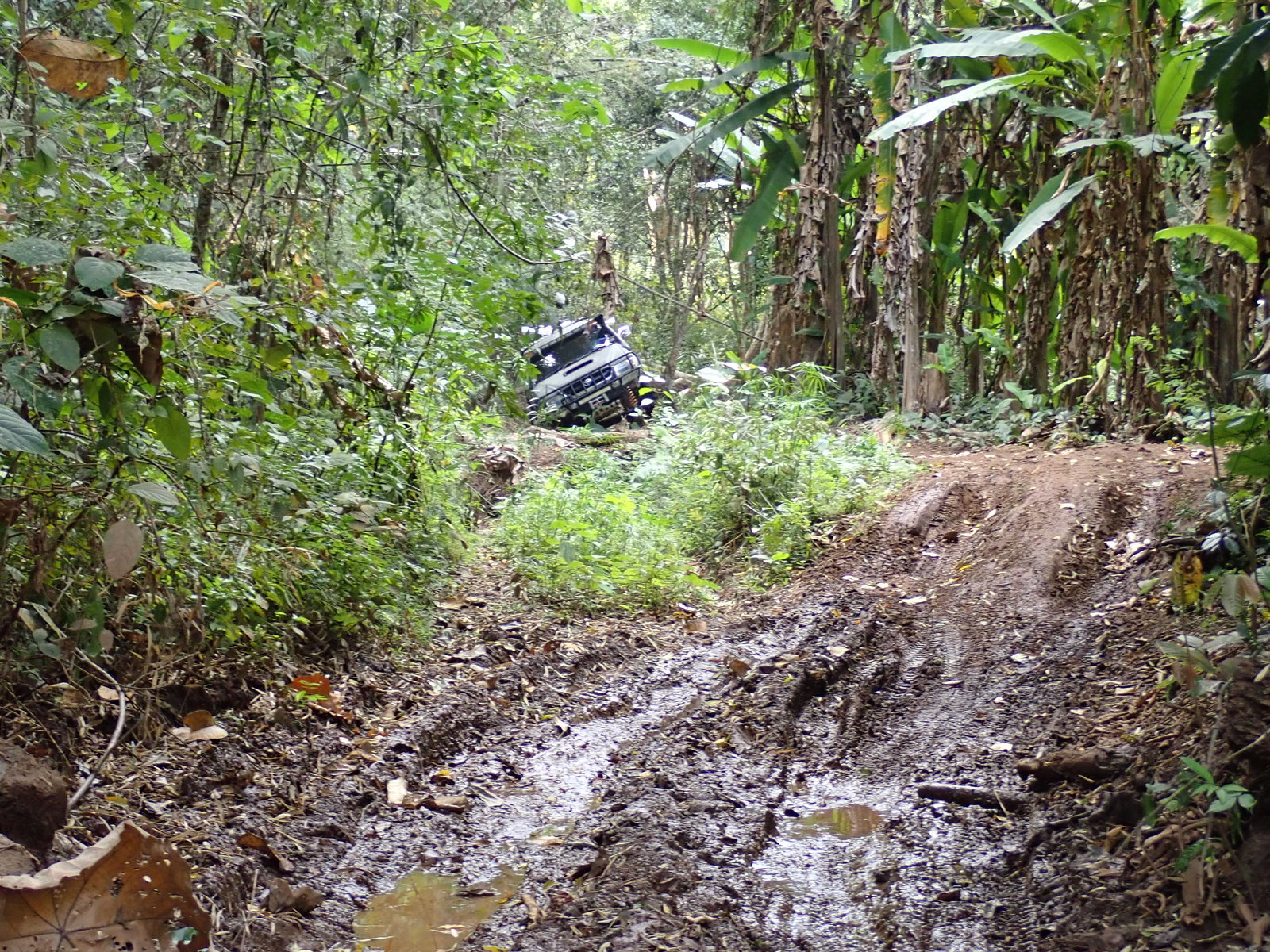 p2170638-jpg.73190