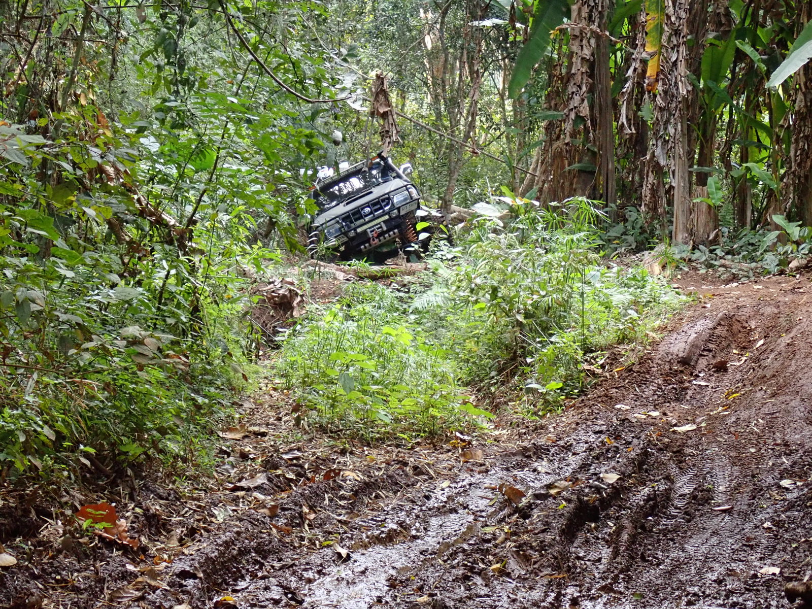 p2170639-jpg.73191