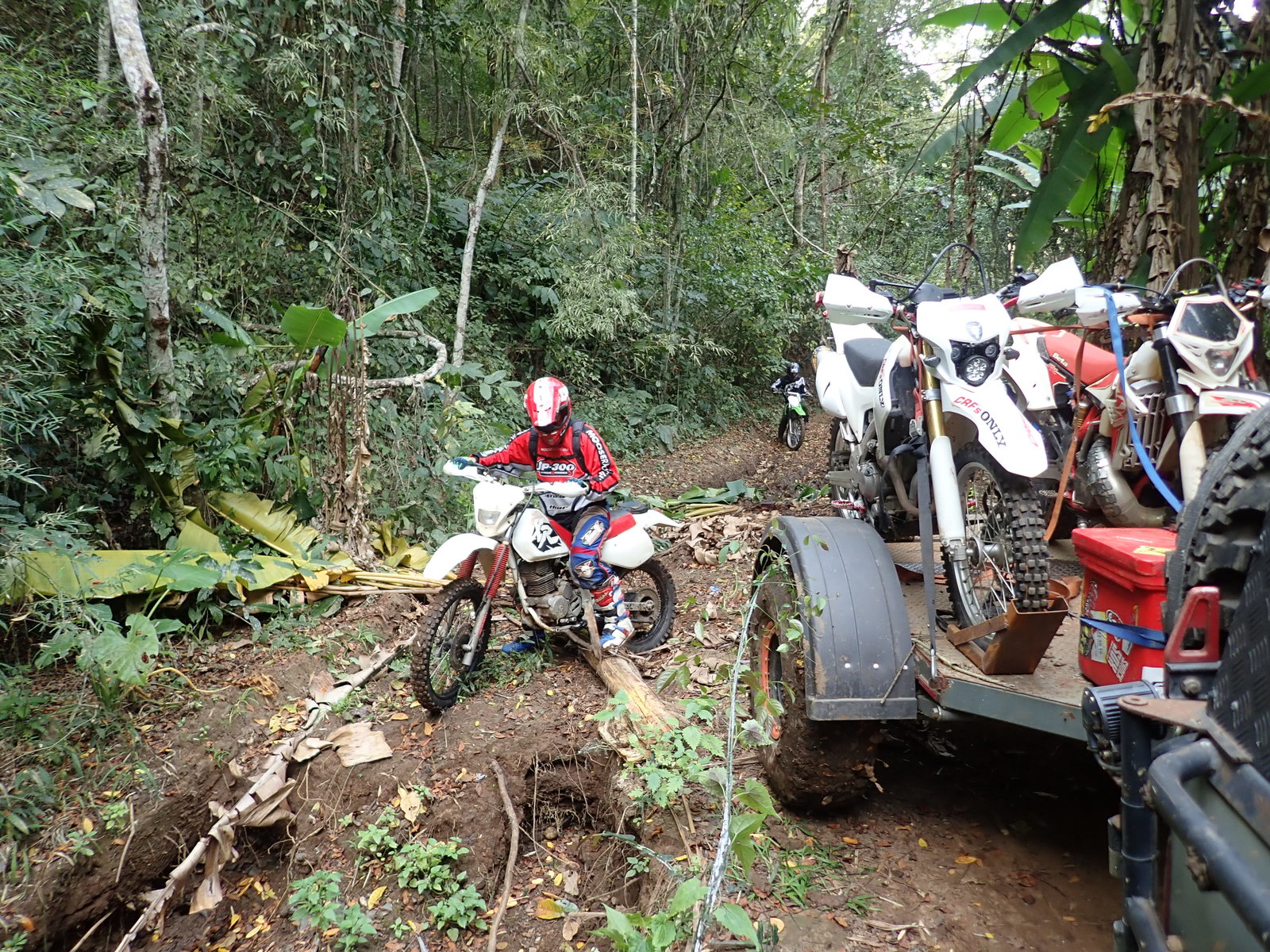 p2170665-jpg.73217