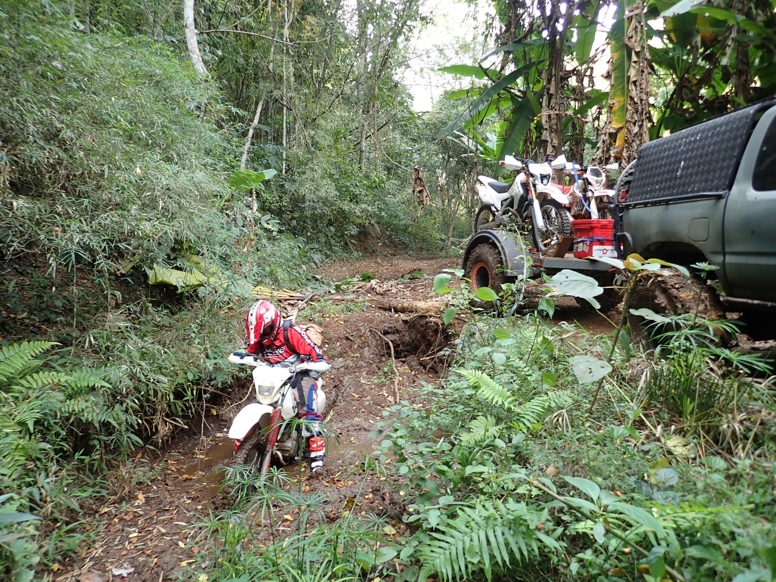 p2170668-jpg.73220