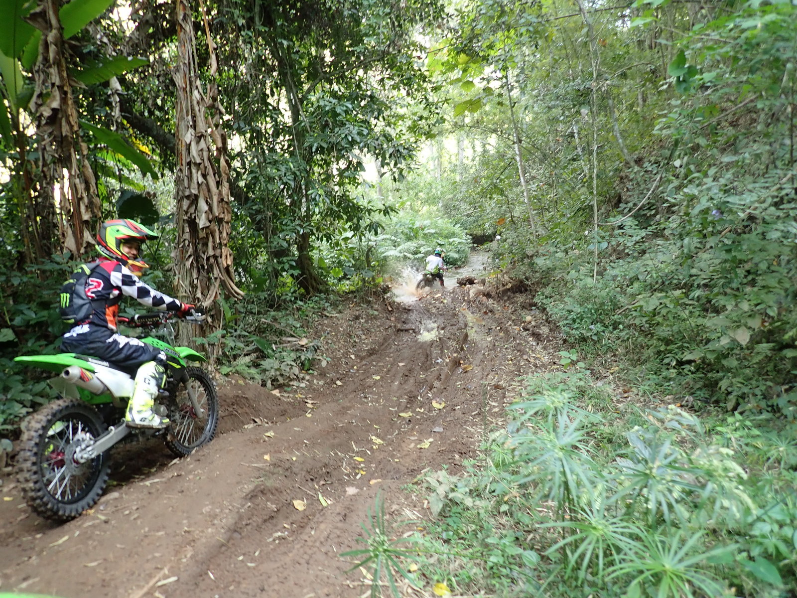 p2170669-jpg.73221