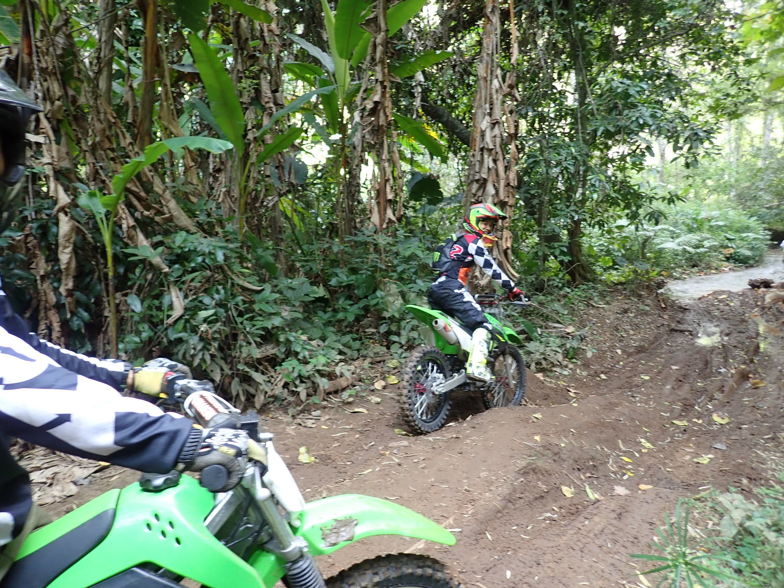 p2170670-jpg.73222