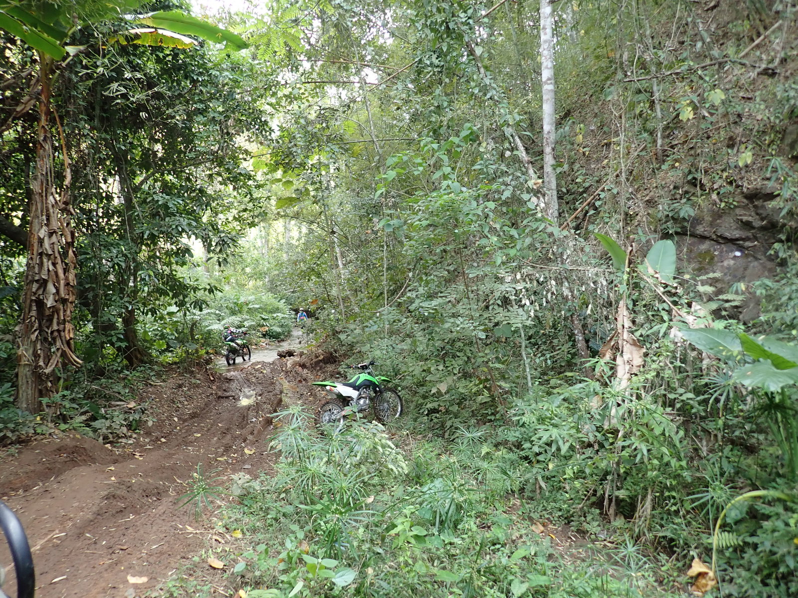 p2170671-jpg.73223