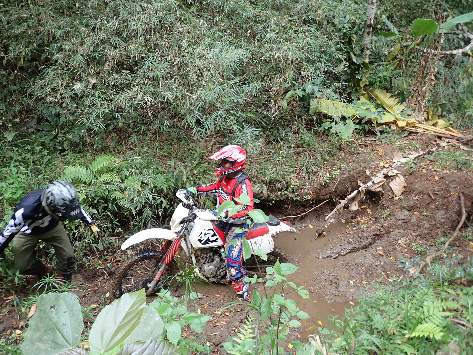 p2170674-jpg.73226