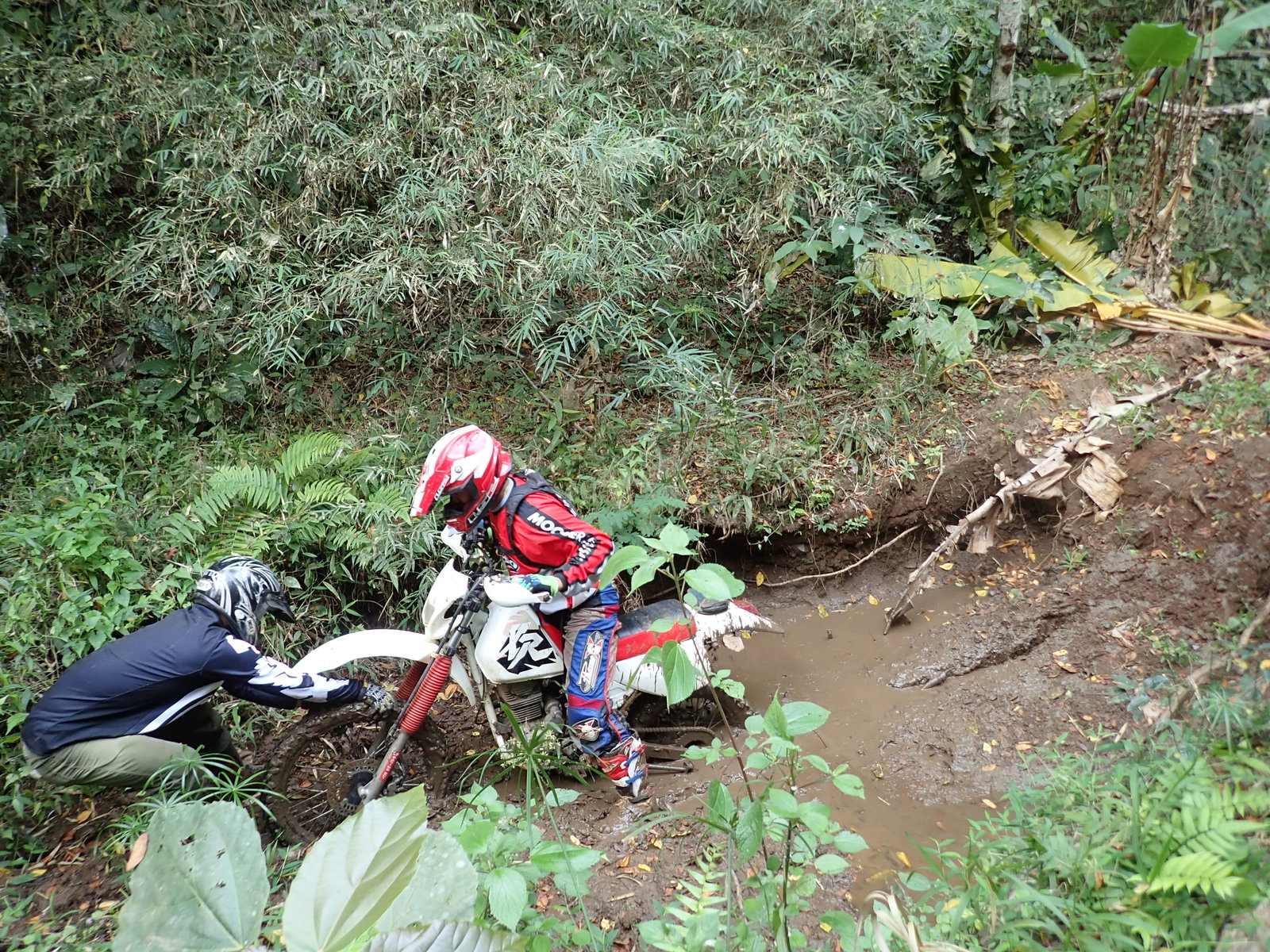 p2170675-jpg.73227