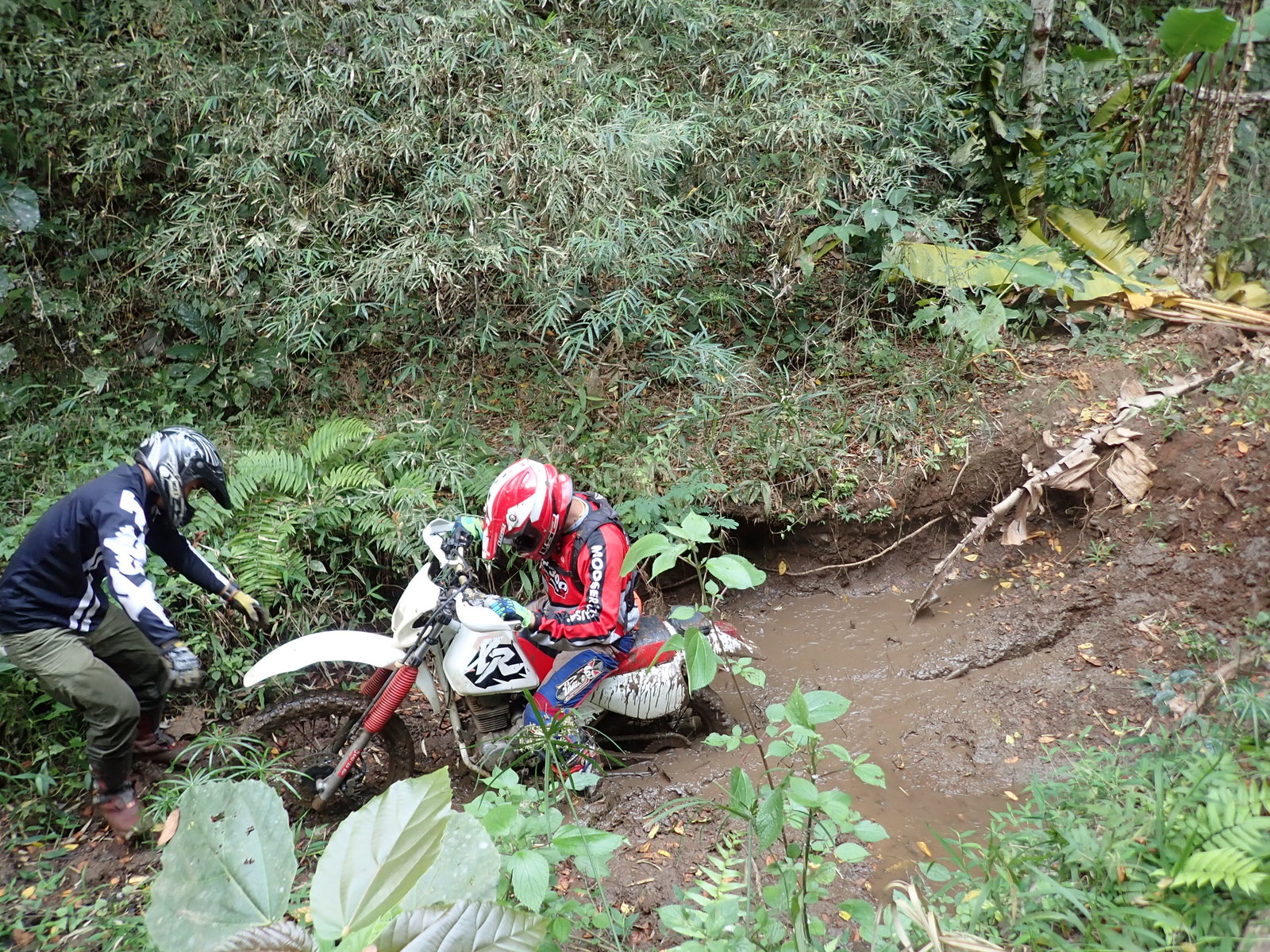 p2170676-jpg.73228