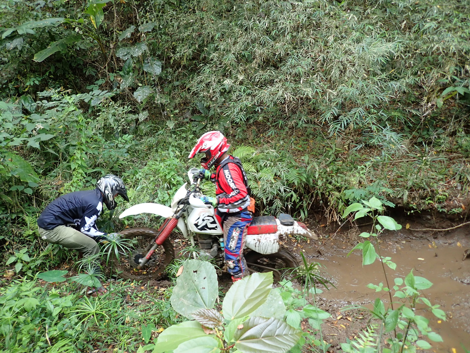p2170678-jpg.73230