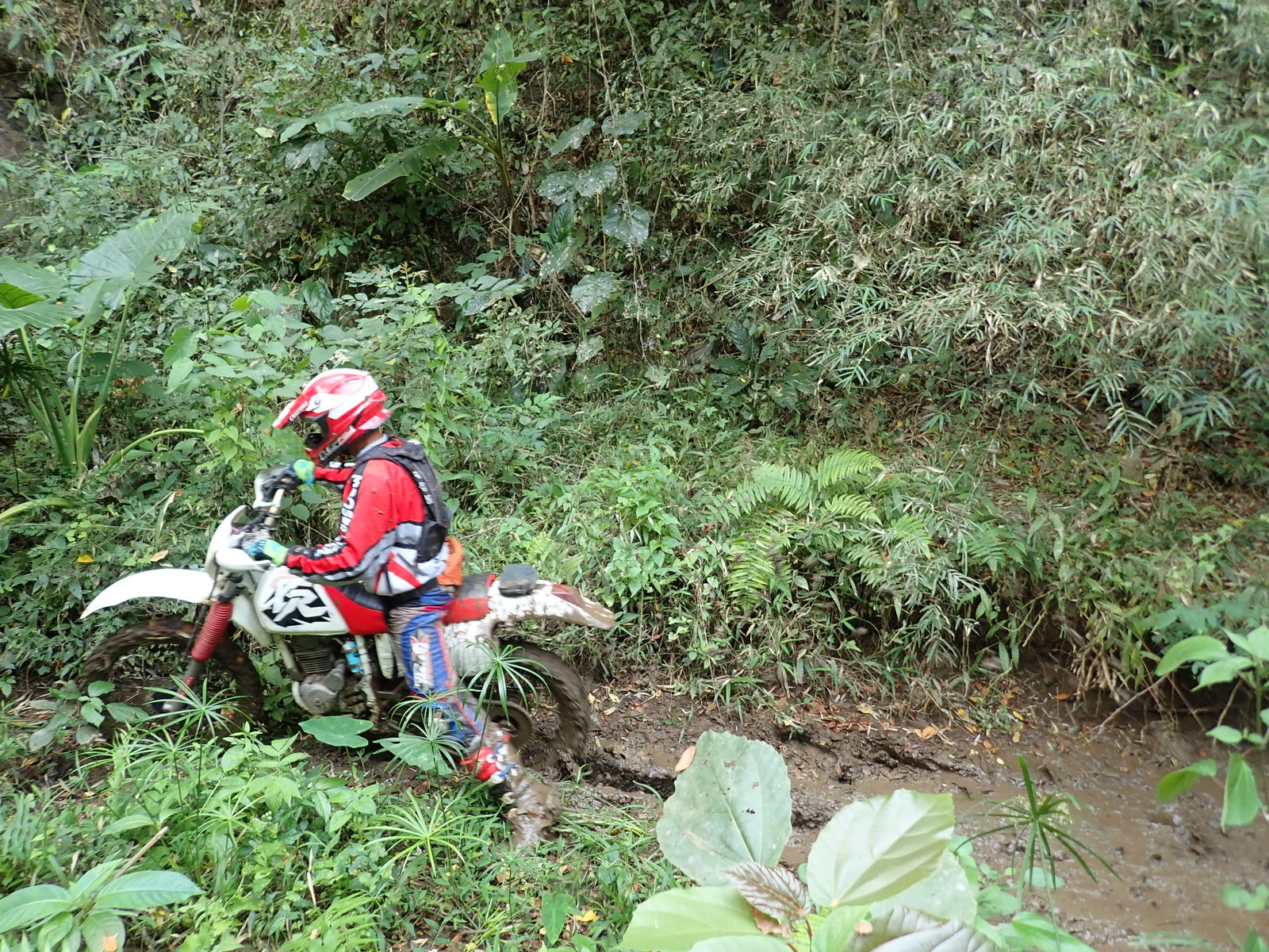 p2170679-jpg.73231