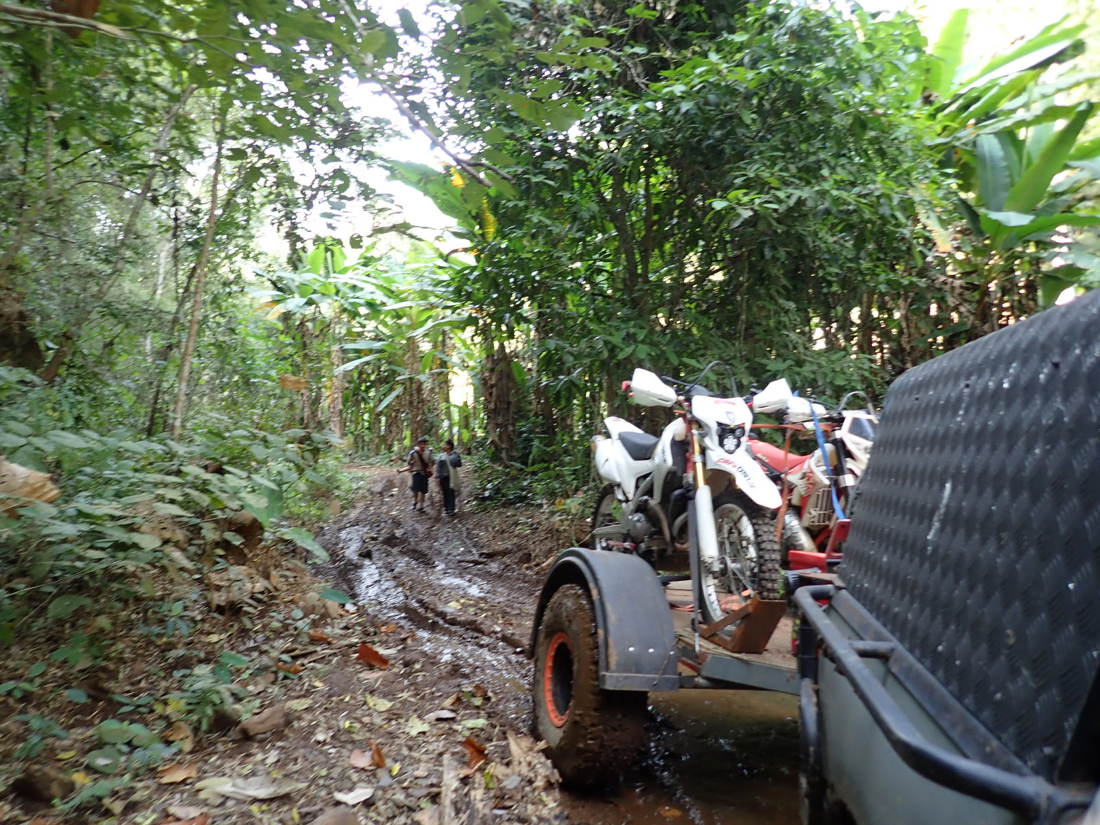 p2170685-jpg.73237