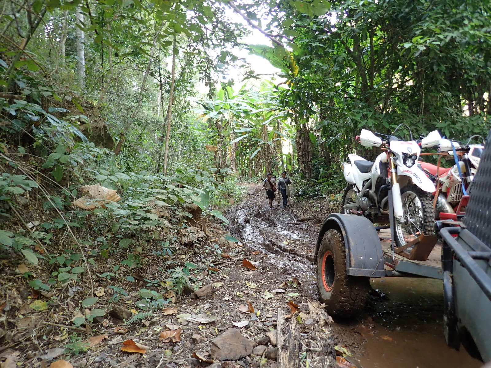 p2170686-jpg.73238