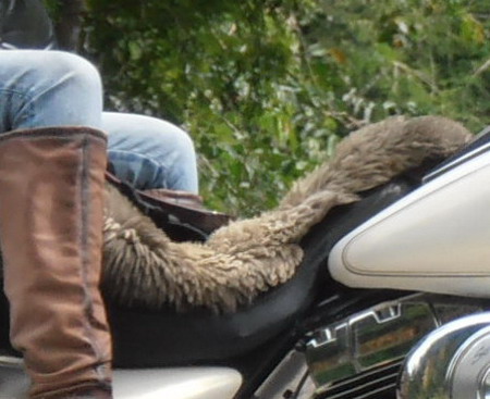 Seat Cushion Ideas Ride Asia, Alaska Leather Motorcycle Seat Pads