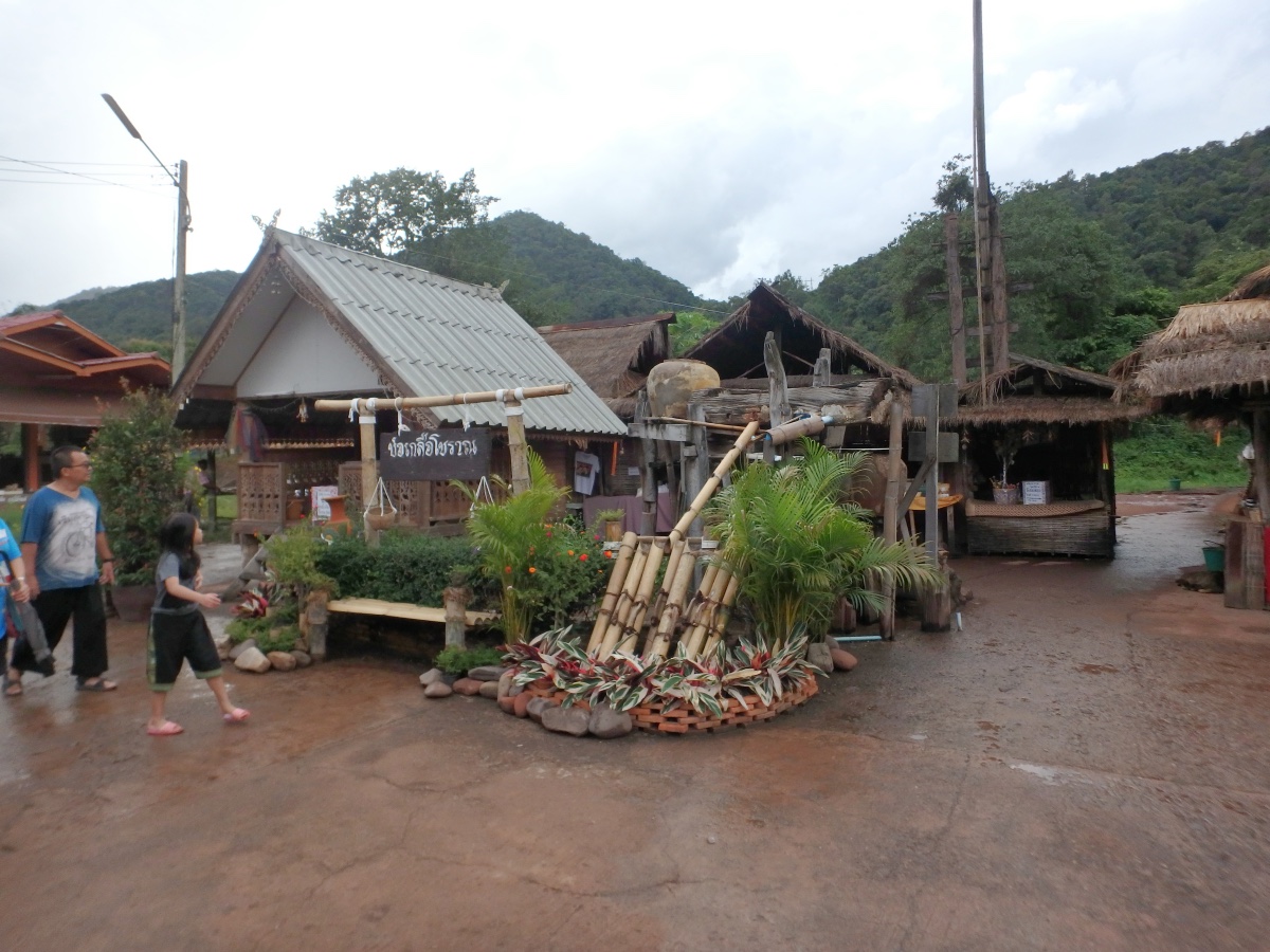 PA220217.jpeg