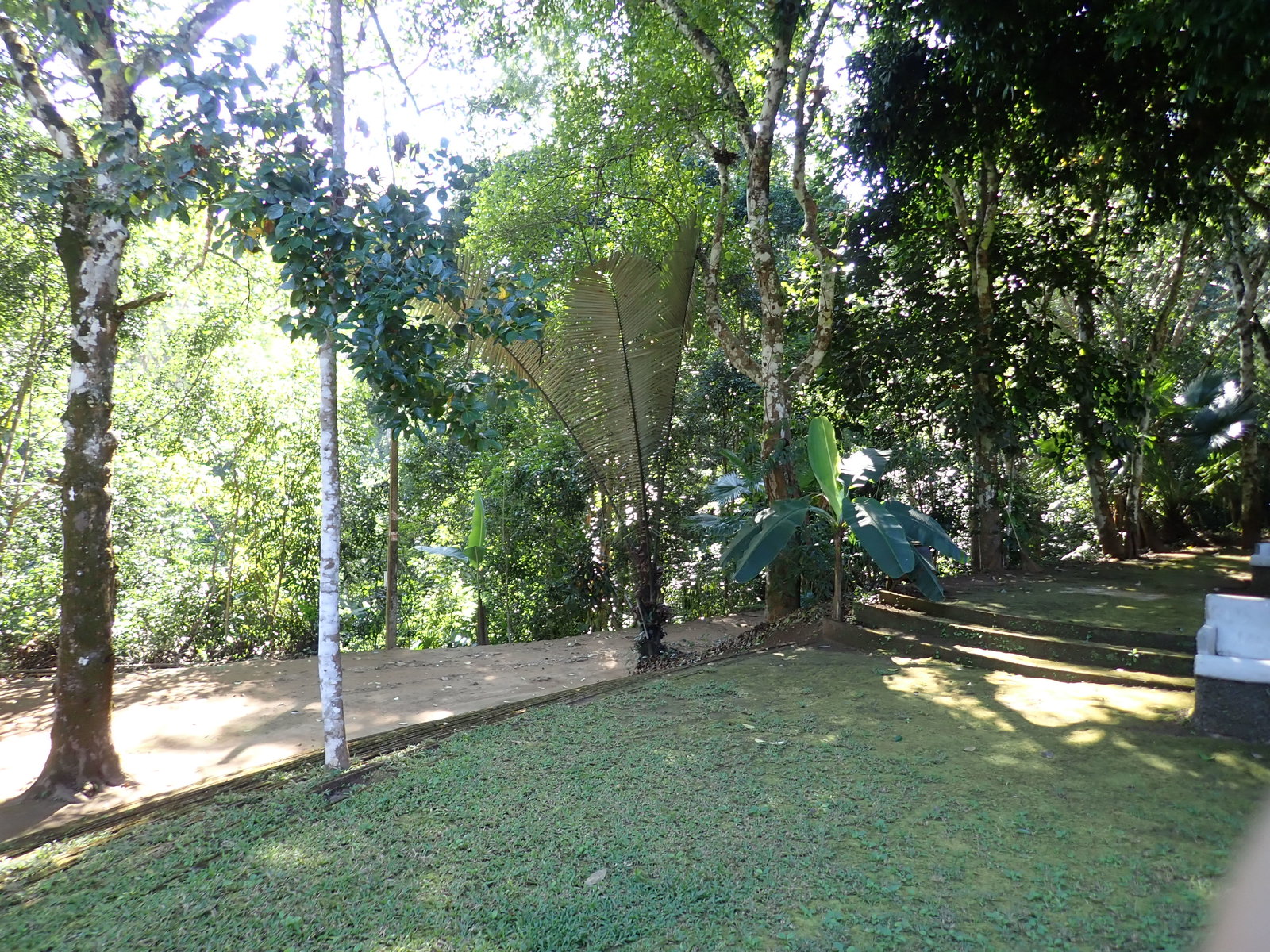 PC240163.JPG
