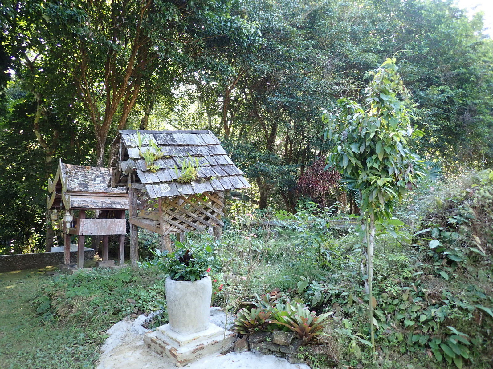 PC240165.JPG