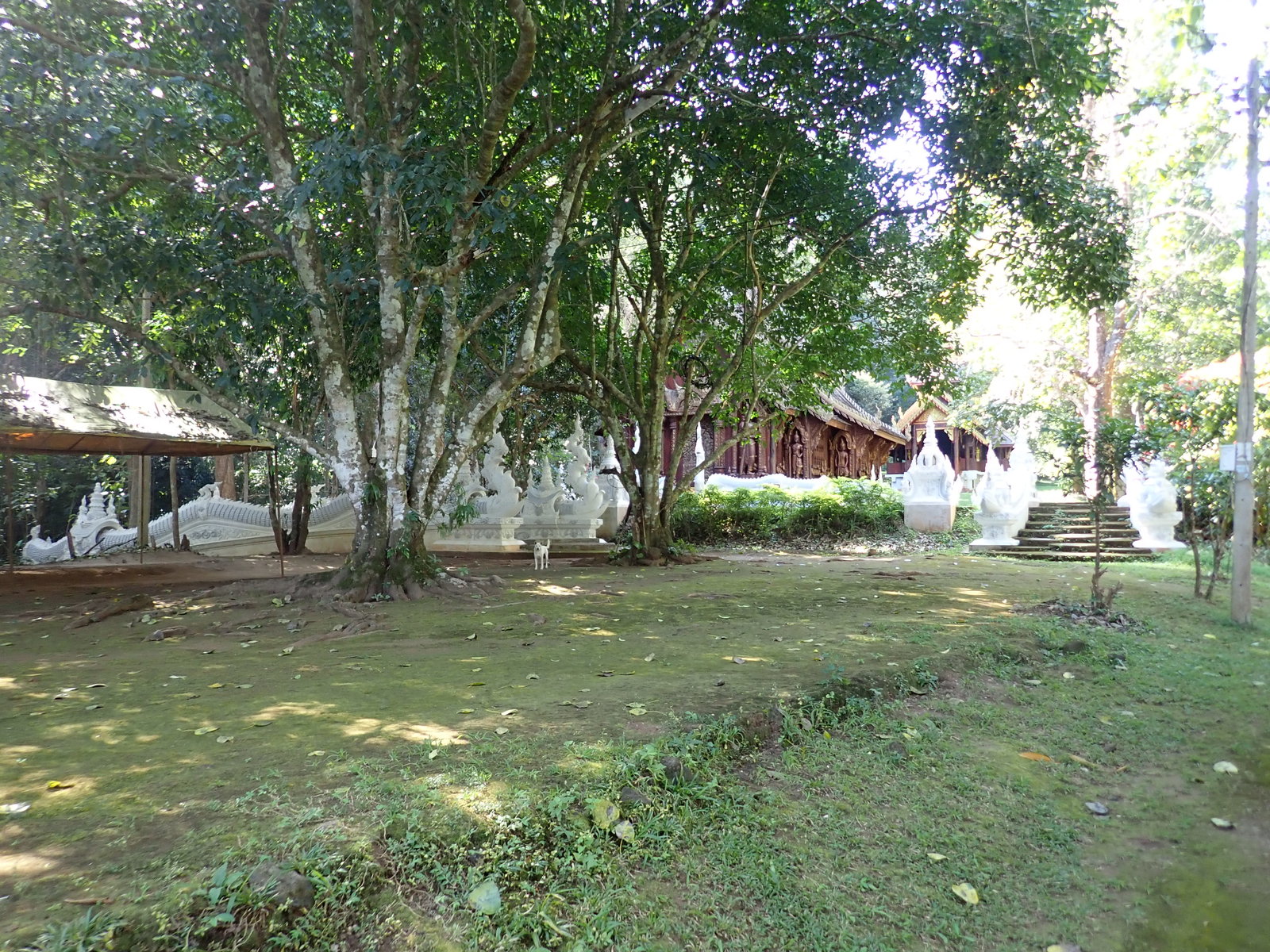 PC240170.JPG