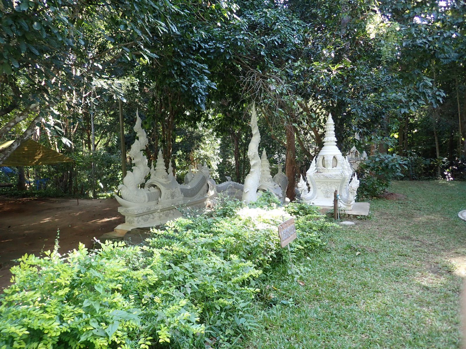 PC240175.JPG