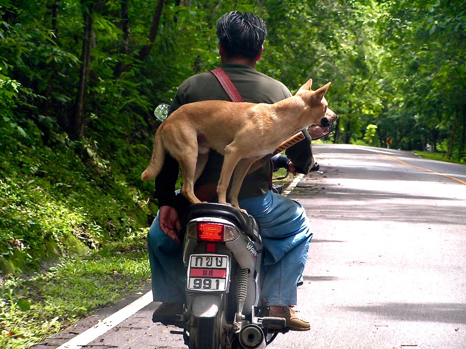 PICT0416.jpg