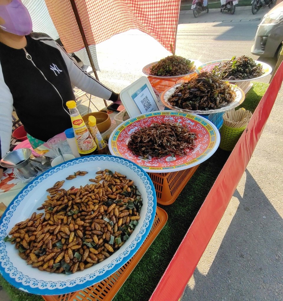 thumbnail_IMG_20230131_155215.jpg