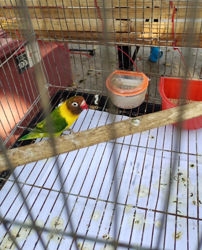 thumbnail_IMG_20230131_160516.jpg
