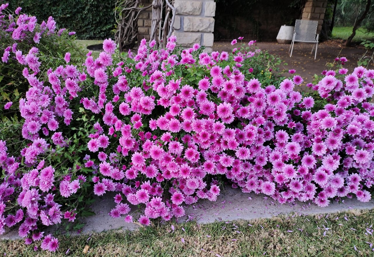 thumbnail_IMG_20230416_175725.jpg