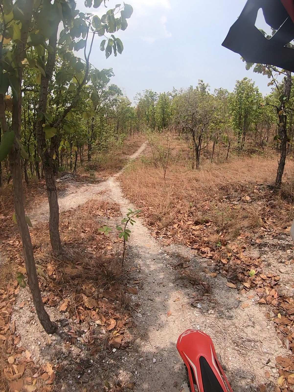 vlcsnap-2019-05-18-08h25m14s244-png.78157
