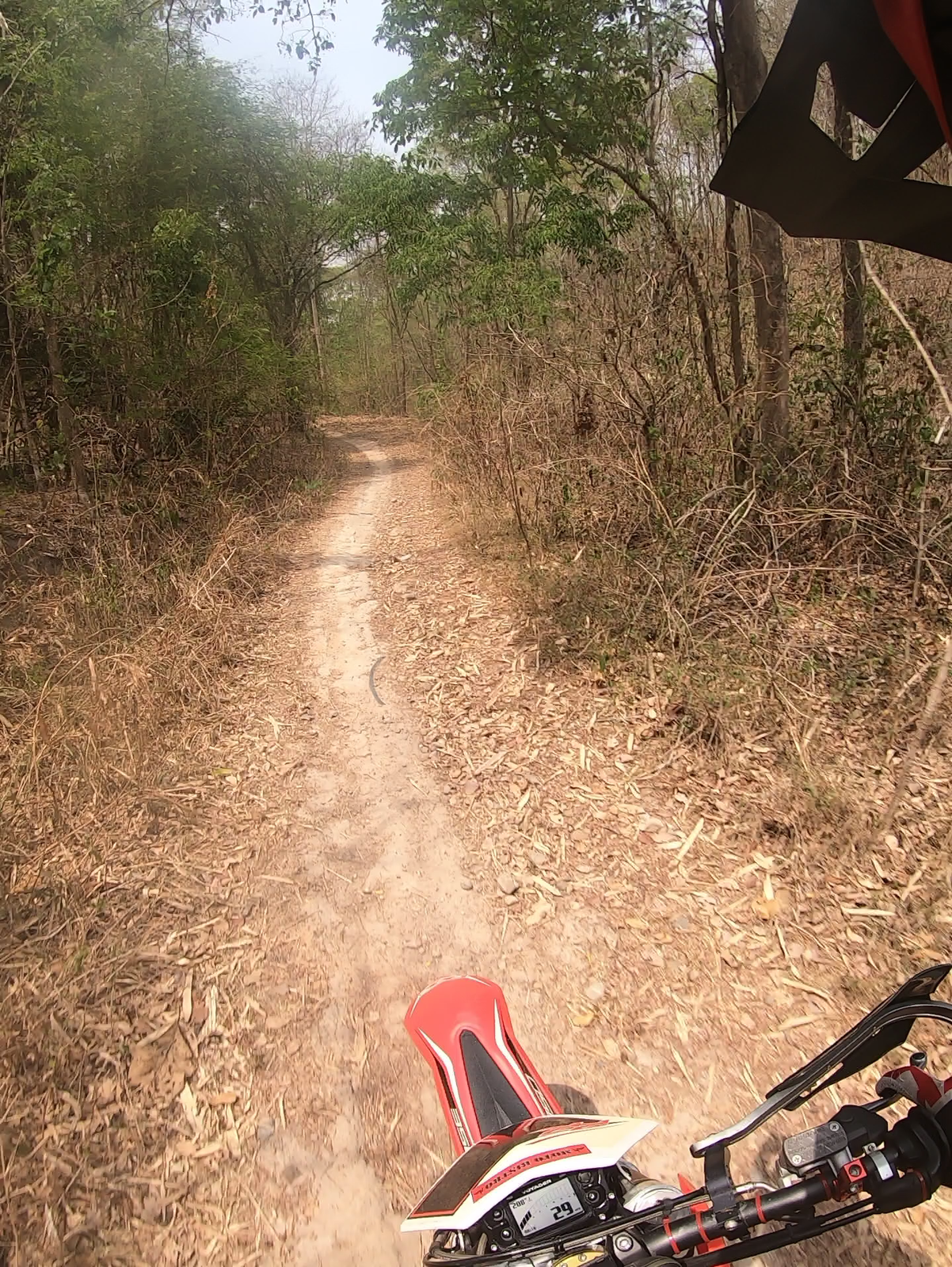 vlcsnap-2019-05-18-08h28m34s654-png.78163