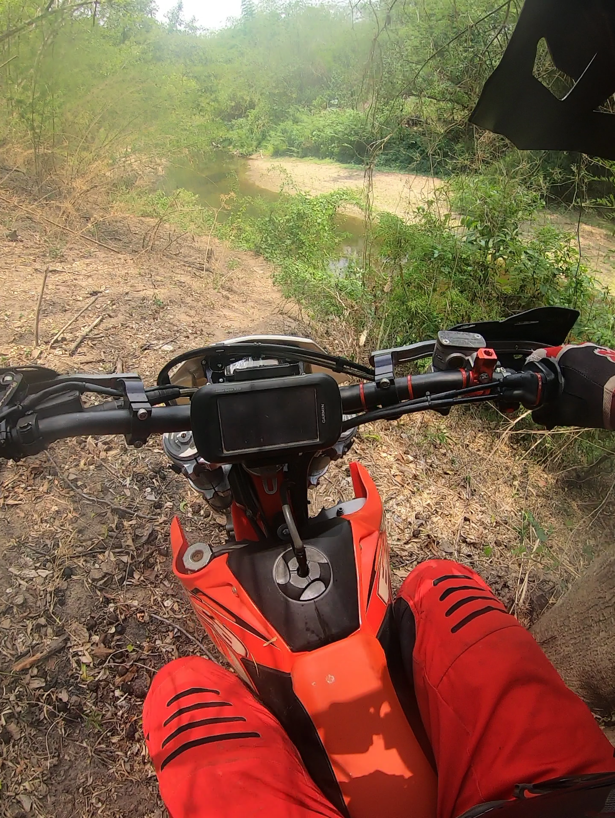 vlcsnap-2019-05-18-08h47m44s419-png.78201