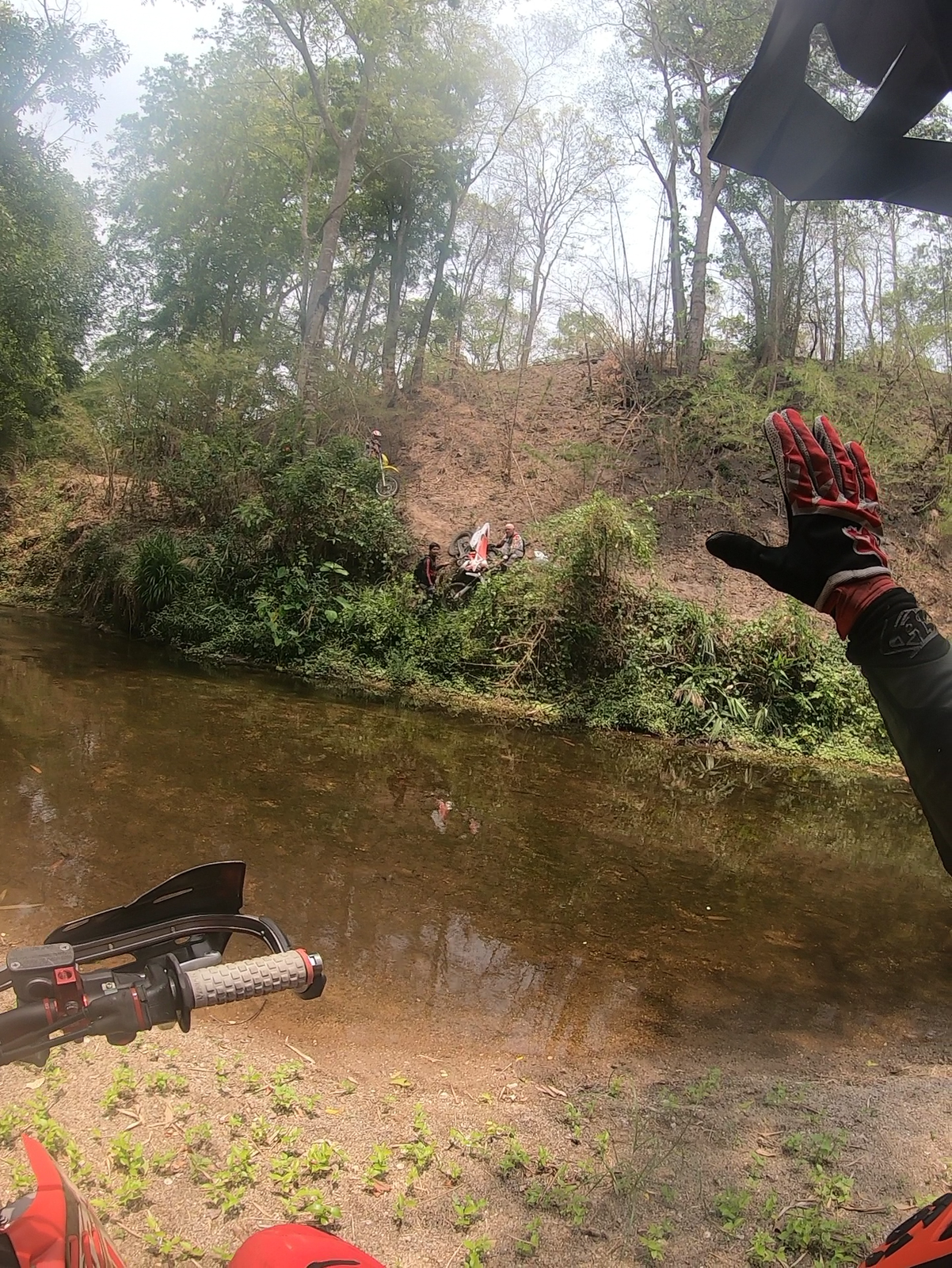 vlcsnap-2019-05-18-08h49m11s784-png.78205