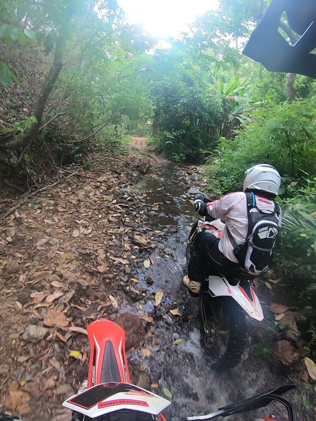 vlcsnap-2019-05-18-08h56m09s141-png.78311